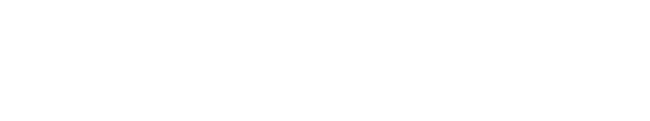 The New Zealand Mollusca Biodiversity Archive